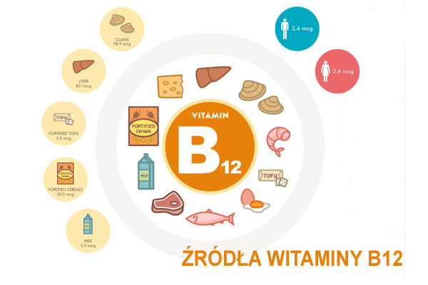 Źródła witaminy B12